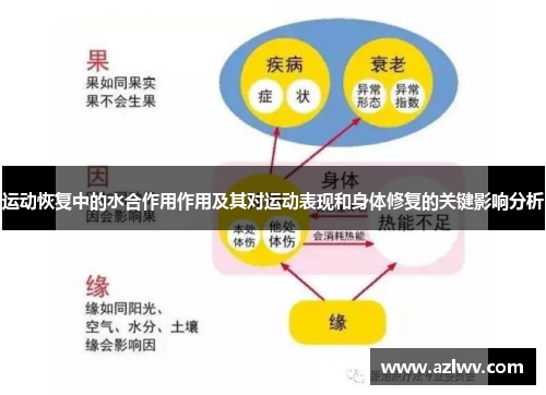 运动恢复中的水合作用作用及其对运动表现和身体修复的关键影响分析